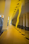 Fondation-Vuitton-Buren: Architecte Frank Gehry-73