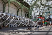 Monumenta 2016: Huang Yong Ping, Grand Palais-35