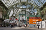 Monumenta 2016: Huang Yong Ping, Grand Palais-40