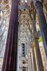 Sagrada Familia : architecte Antoni Gaudi-29